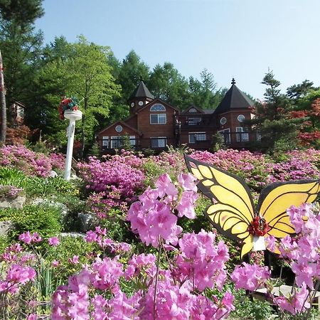 Elf Resort Hotel Pyeongchang Dış mekan fotoğraf