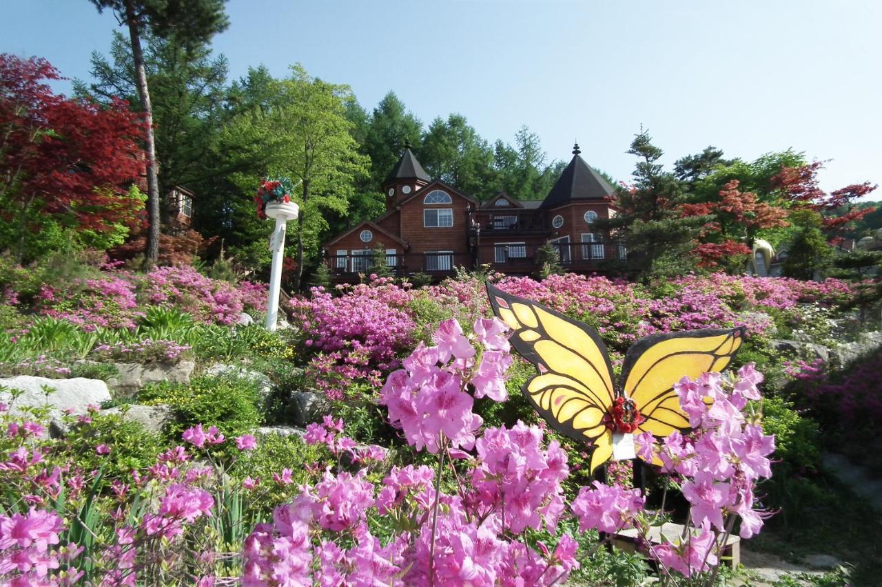 Elf Resort Hotel Pyeongchang Dış mekan fotoğraf