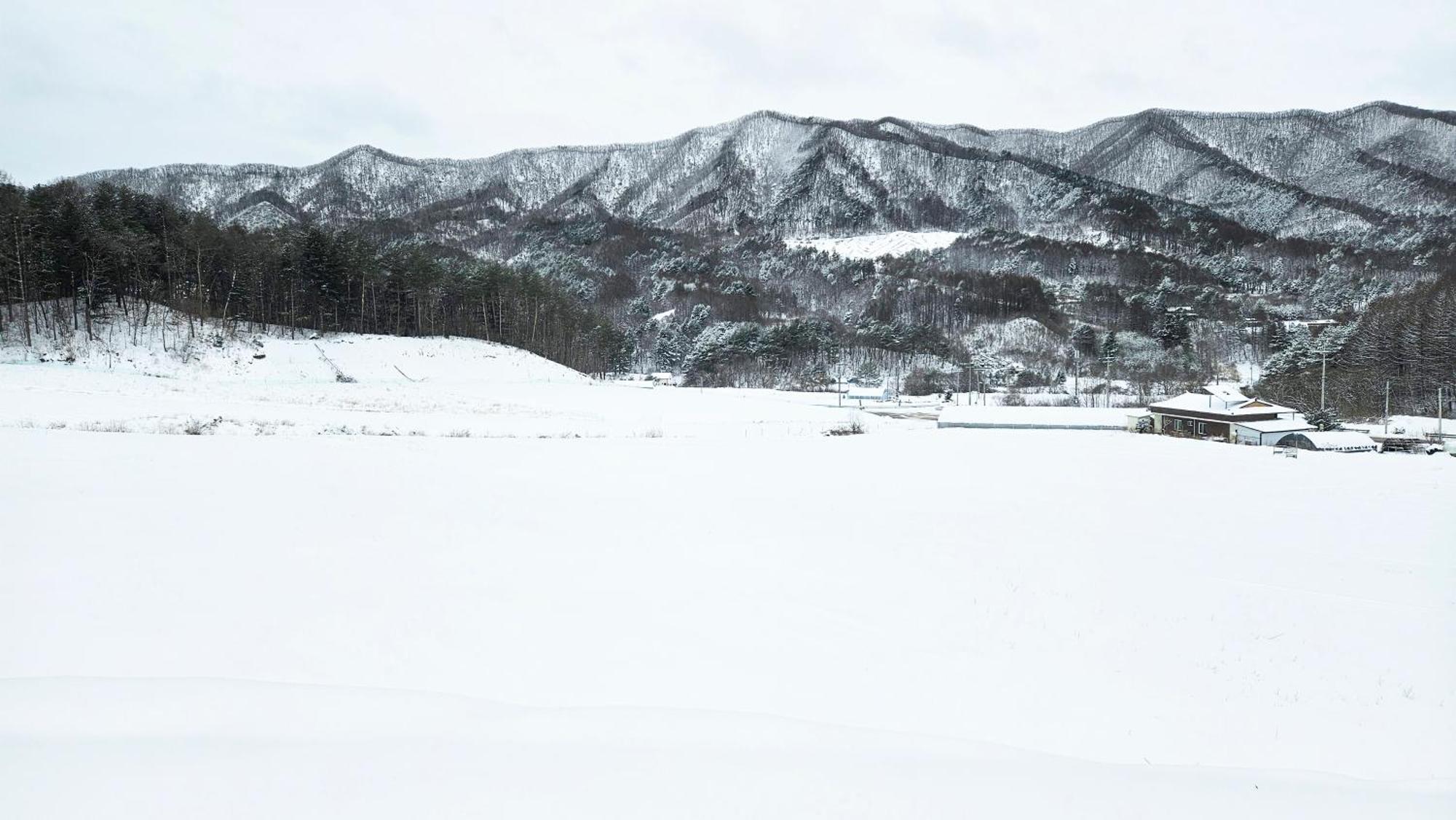 Elf Resort Hotel Pyeongchang Dış mekan fotoğraf