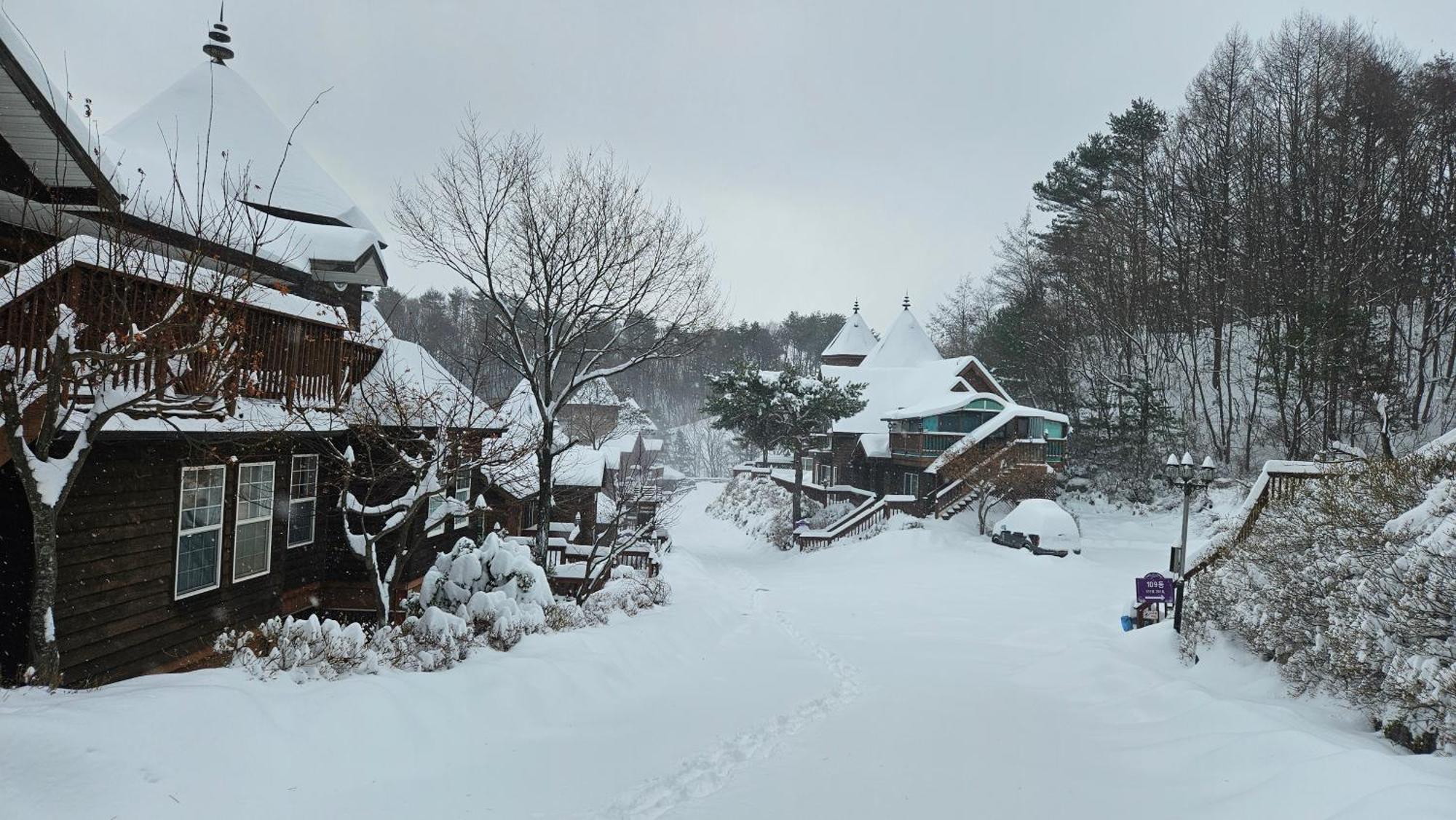 Elf Resort Hotel Pyeongchang Dış mekan fotoğraf