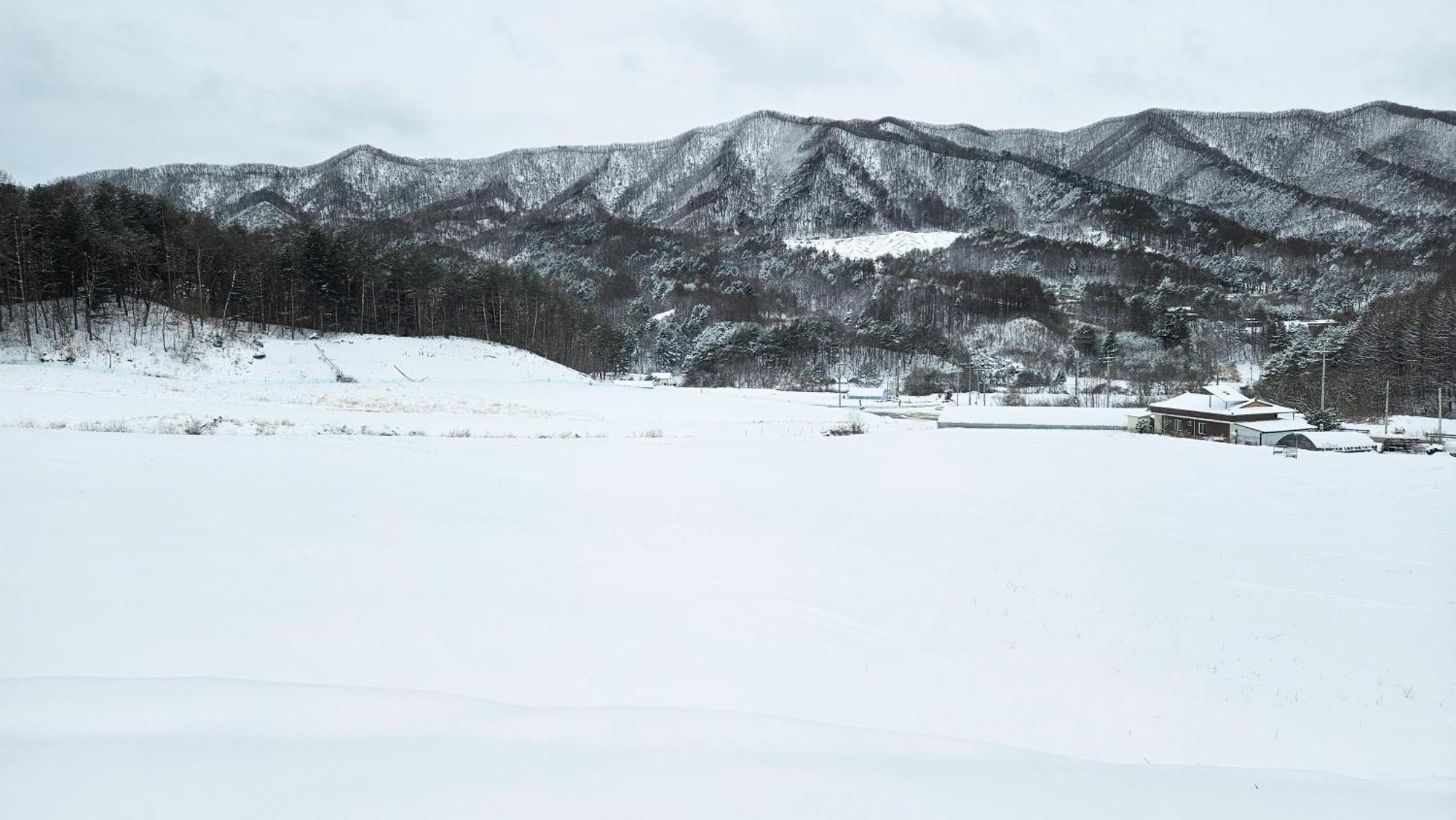 Elf Resort Hotel Pyeongchang Dış mekan fotoğraf