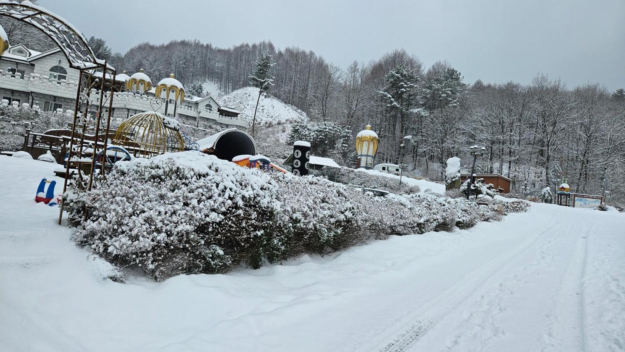 Elf Resort Hotel Pyeongchang Dış mekan fotoğraf